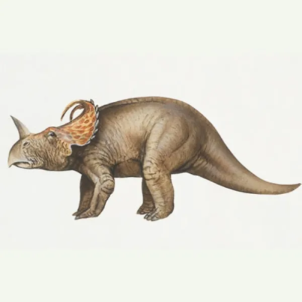 Centrosaurus