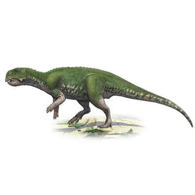 Psitacossauro 2