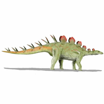 Chialingosaurus 1